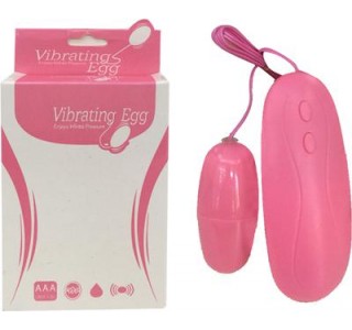 Vibratör Egg